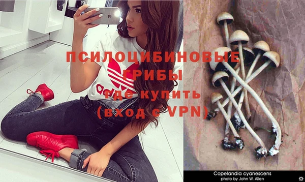 кокаин премиум Алексеевка