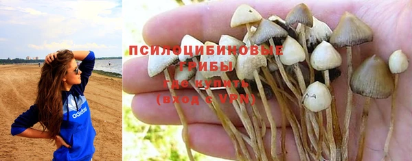 кокаин премиум Алексеевка